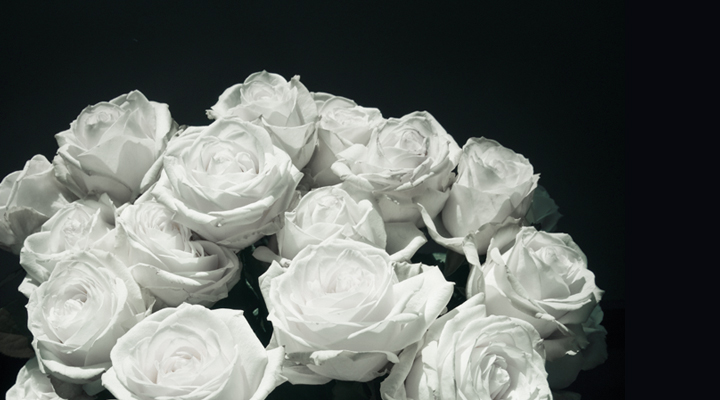 Ein einfacher Struß aus weißen Rosen